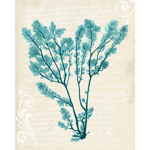 Teal Seaweed V Black Modern Wood Framed Art Print with Double Matting by Popp, Grace