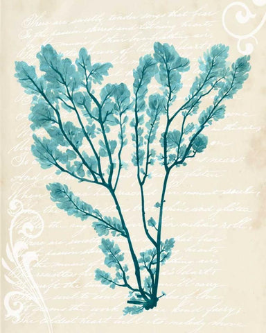 Teal Seaweed V White Modern Wood Framed Art Print with Double Matting by Popp, Grace