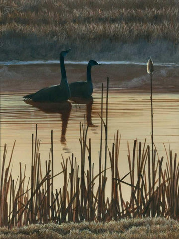 First Light I Black Ornate Wood Framed Art Print with Double Matting by Szatkowski, Fred
