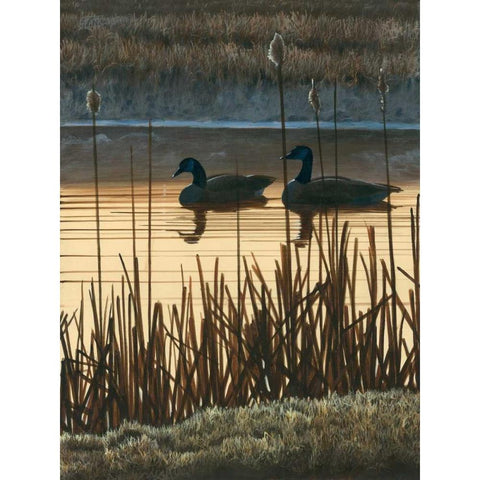 First Light II Gold Ornate Wood Framed Art Print with Double Matting by Szatkowski, Fred