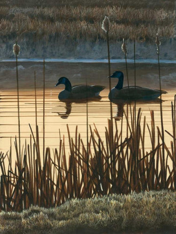 First Light II White Modern Wood Framed Art Print with Double Matting by Szatkowski, Fred