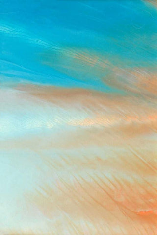 Neptune Sky III Black Ornate Wood Framed Art Print with Double Matting by Lam, Vanna