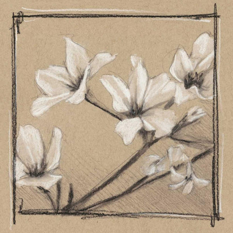 White Floral Study I White Modern Wood Framed Art Print with Double Matting by Harper, Ethan