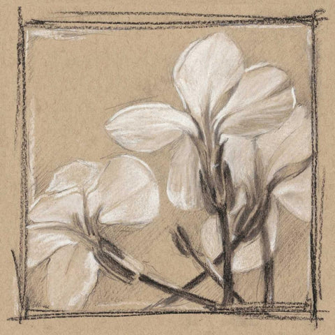 White Floral Study IV Gold Ornate Wood Framed Art Print with Double Matting by Harper, Ethan