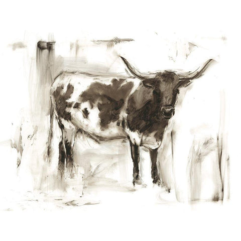 Longhorn Study I Black Modern Wood Framed Art Print with Double Matting by Harper, Ethan