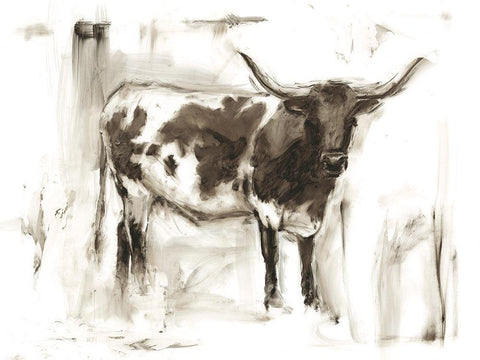 Longhorn Study I White Modern Wood Framed Art Print with Double Matting by Harper, Ethan