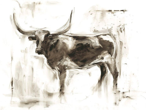 Longhorn Study II White Modern Wood Framed Art Print with Double Matting by Harper, Ethan