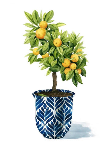 Fruit Tree I Black Ornate Wood Framed Art Print with Double Matting by Popp, Grace