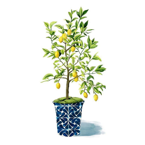 Fruit Tree II Black Modern Wood Framed Art Print with Double Matting by Popp, Grace