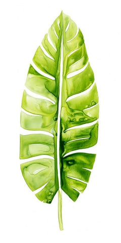 Banana Leaf Study II White Modern Wood Framed Art Print with Double Matting by Popp, Grace