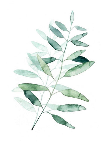 Serene Reed II Black Ornate Wood Framed Art Print with Double Matting by Popp, Grace