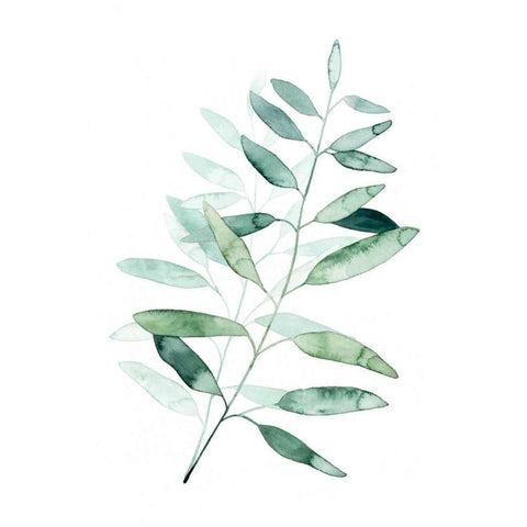 Serene Reed II White Modern Wood Framed Art Print by Popp, Grace