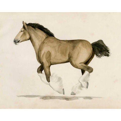 Clydesdale II White Modern Wood Framed Art Print by Popp, Grace