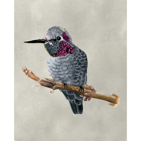 Winged Beauty IV White Modern Wood Framed Art Print by McCavitt, Naomi