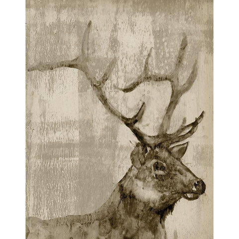 Sepia Elk White Modern Wood Framed Art Print by Goldberger, Jennifer