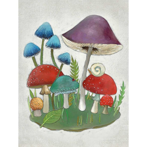 Mushroom Collection II Black Modern Wood Framed Art Print with Double Matting by Zarris, Chariklia