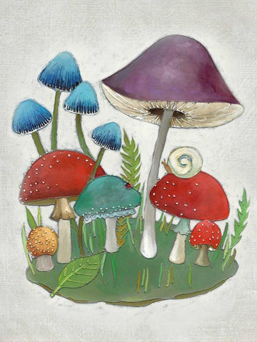 Mushroom Collection II White Modern Wood Framed Art Print with Double Matting by Zarris, Chariklia