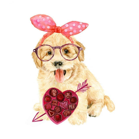 Valentine Puppy IV White Modern Wood Framed Art Print with Double Matting by Wang, Melissa