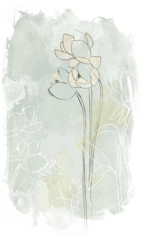 Stone Flower Study IV White Modern Wood Framed Art Print with Double Matting by Vess, June Erica