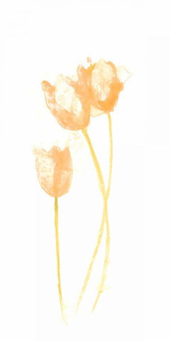 Bouquet Blush VIII White Modern Wood Framed Art Print with Double Matting by Vess, June Erica