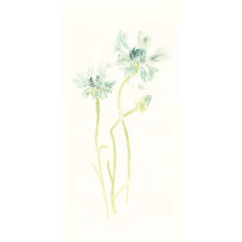 Cornflower Study II Gold Ornate Wood Framed Art Print with Double Matting by Vess, June Erica