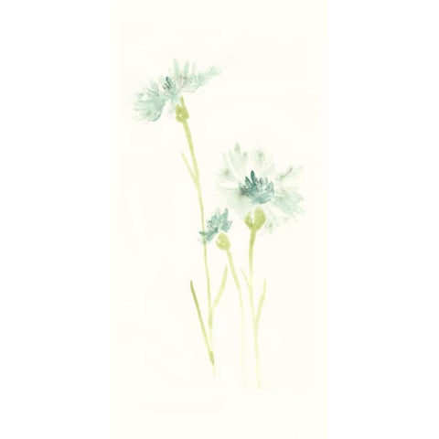 Cornflower Study III Gold Ornate Wood Framed Art Print with Double Matting by Vess, June Erica