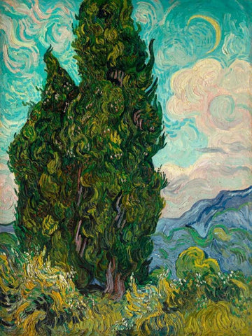 Cypresses I White Modern Wood Framed Art Print with Double Matting by Van Gogh, Vincent