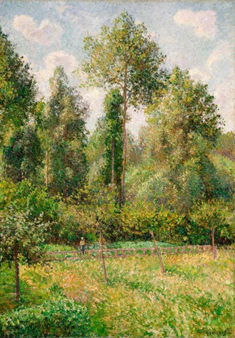 Poplars, Eragny White Modern Wood Framed Art Print with Double Matting by Pissarro, Camille