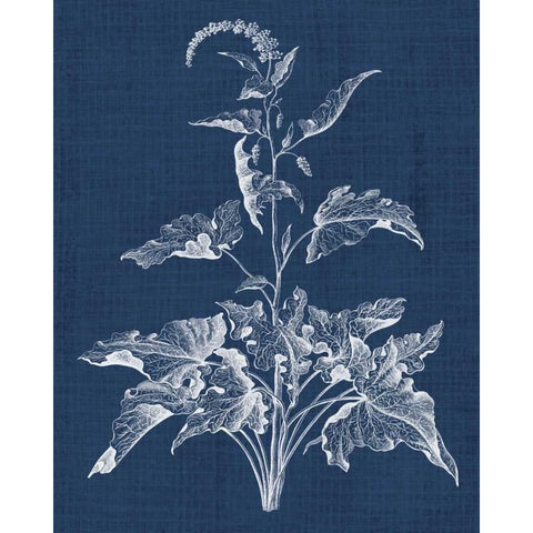 Foliage Chintz II Black Modern Wood Framed Art Print with Double Matting by Vision Studio