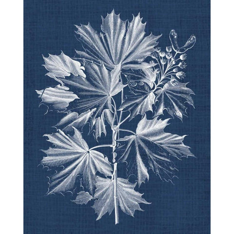 Foliage Chintz V White Modern Wood Framed Art Print by Vision Studio