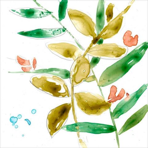 Tropical Display V White Modern Wood Framed Art Print with Double Matting by Goldberger, Jennifer