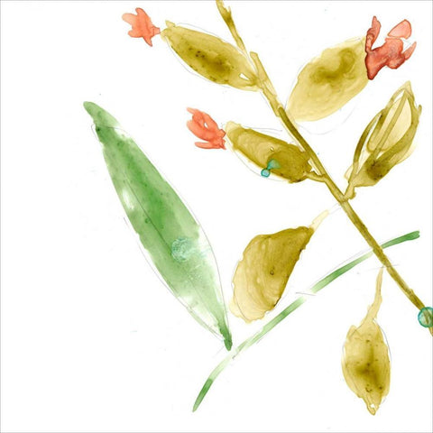 Tropical Display VIII Black Ornate Wood Framed Art Print with Double Matting by Goldberger, Jennifer