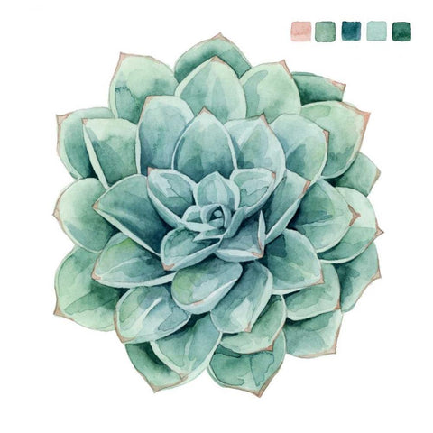 Succulent Swatches I Black Modern Wood Framed Art Print with Double Matting by Popp, Grace