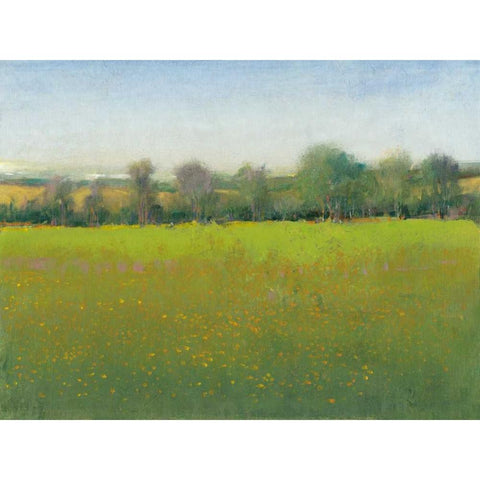 Verdant Countryside I White Modern Wood Framed Art Print by OToole, Tim