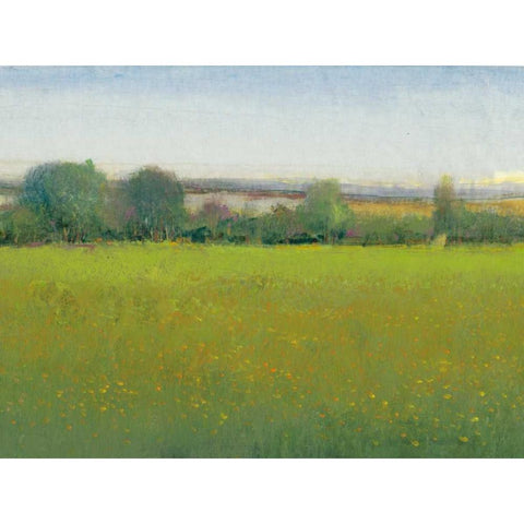 Verdant Countryside II White Modern Wood Framed Art Print by OToole, Tim