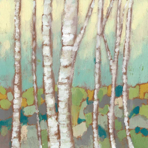 Kaleidoscope Birches II White Modern Wood Framed Art Print with Double Matting by Goldberger, Jennifer