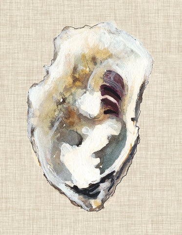 Oyster Shell Study I Black Ornate Wood Framed Art Print with Double Matting by Willett, Michael