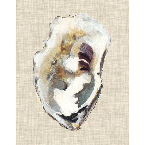 Oyster Shell Study I Black Modern Wood Framed Art Print by Willett, Michael