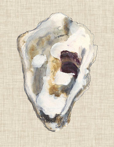 Oyster Shell Study II Black Ornate Wood Framed Art Print with Double Matting by Willett, Michael