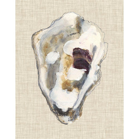 Oyster Shell Study II Black Modern Wood Framed Art Print with Double Matting by Willett, Michael