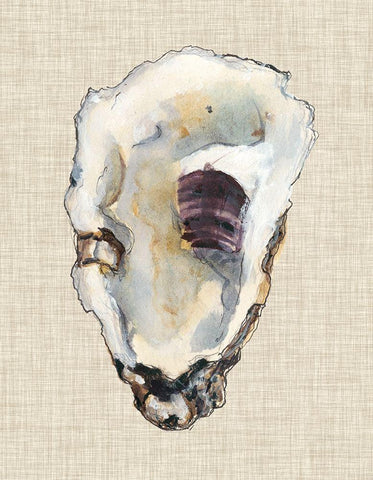 Oyster Shell Study III White Modern Wood Framed Art Print with Double Matting by Willett, Michael