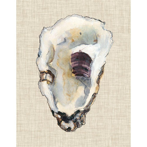 Oyster Shell Study III Gold Ornate Wood Framed Art Print with Double Matting by Willett, Michael