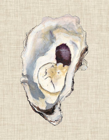 Oyster Shell Study IV White Modern Wood Framed Art Print with Double Matting by Willett, Michael