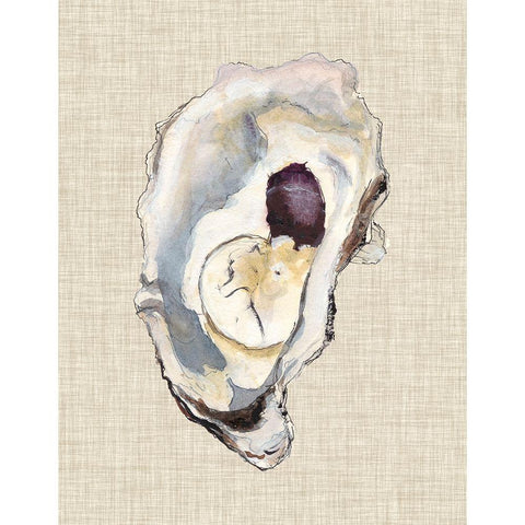 Oyster Shell Study IV White Modern Wood Framed Art Print by Willett, Michael