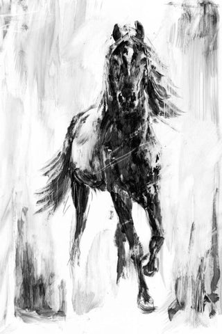 Rustic Stallion I White Modern Wood Framed Art Print with Double Matting by Harper, Ethan