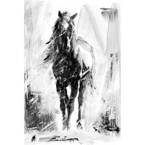 Rustic Stallion II Black Modern Wood Framed Art Print with Double Matting by Harper, Ethan