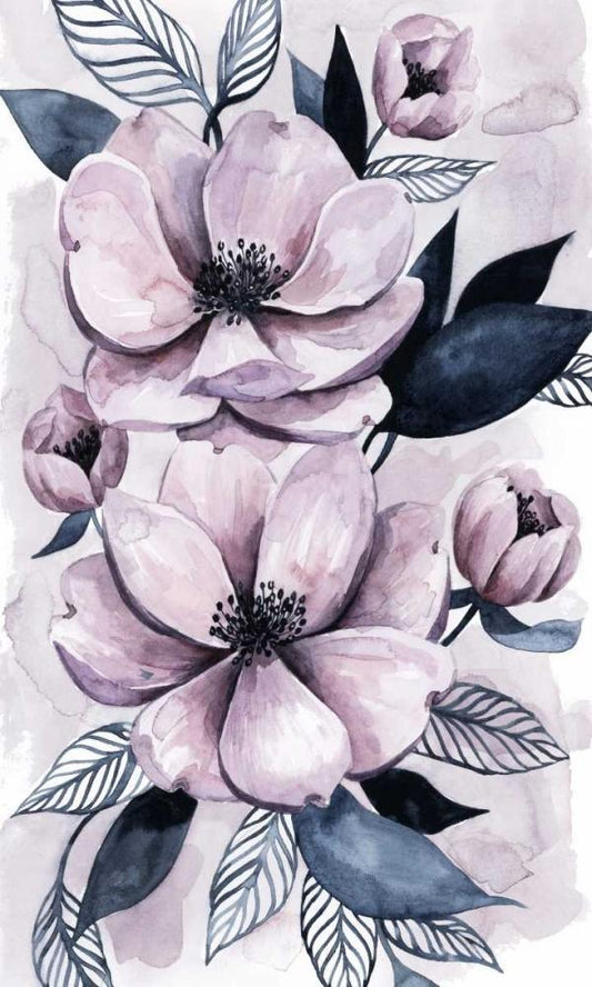 Image Only