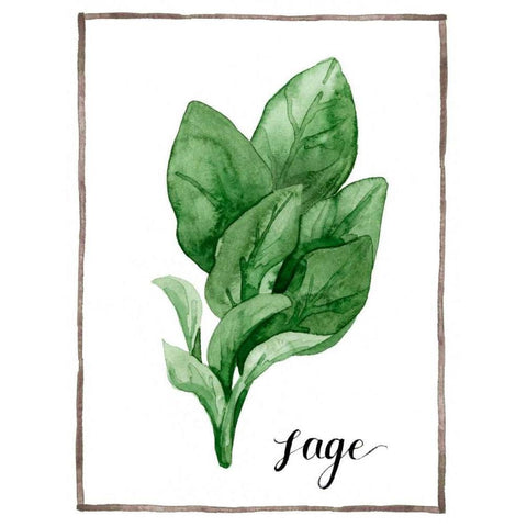 Watercolor Herbs VI White Modern Wood Framed Art Print by Popp, Grace