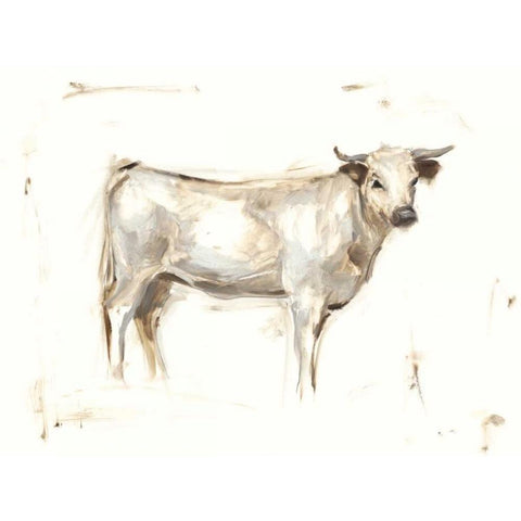 White Cattle I White Modern Wood Framed Art Print by Harper, Ethan