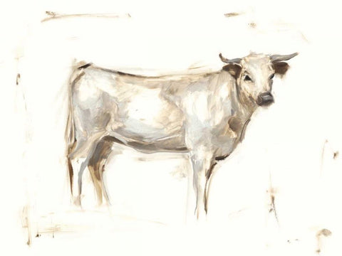 White Cattle I White Modern Wood Framed Art Print with Double Matting by Harper, Ethan